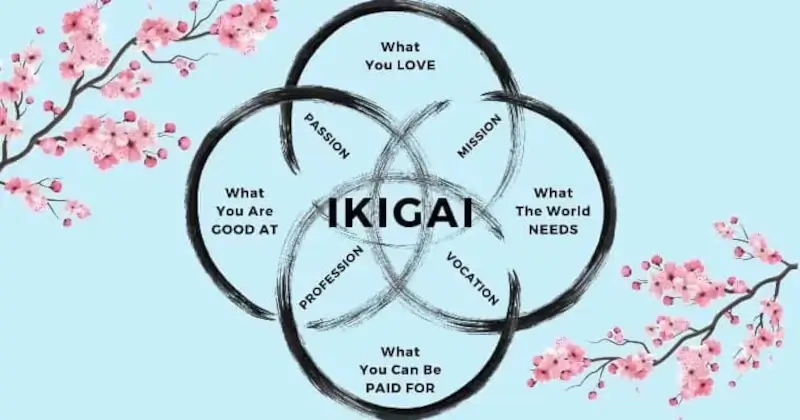 你需要找您的 Ikigai